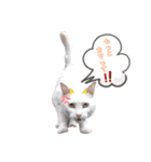 チクワとユキ❤（個別スタンプ：6）