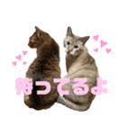 HanaTsumuFuta（個別スタンプ：37）