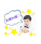 たいせいスタンプ ①（個別スタンプ：17）