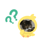 めぐっち（個別スタンプ：4）