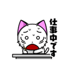 Funny cat animation 3（個別スタンプ：13）