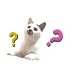 てん☆スタンプ（個別スタンプ：5）