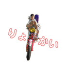 チビ下2匹＆孫2匹（個別スタンプ：7）