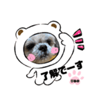 みことわんこたち（個別スタンプ：8）
