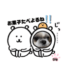 みことわんこたち（個別スタンプ：11）