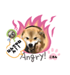 みことわんこたち（個別スタンプ：16）