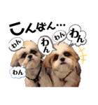 のんちゃんしか勝たん！！（個別スタンプ：7）