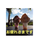 夏らしいスタンプ：チャビック＆カズミ（個別スタンプ：11）
