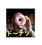 夏らしいスタンプ：チャビック＆カズミ（個別スタンプ：20）