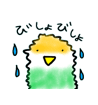 コザクラインコぴのこ（個別スタンプ：9）