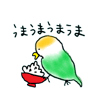 コザクラインコぴのこ（個別スタンプ：16）