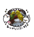 みんなのスタンプ③（個別スタンプ：1）