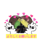 みんなのスタンプ③（個別スタンプ：11）