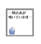 セキセイインコ！！（個別スタンプ：21）