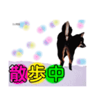 豆汰くんパート3（個別スタンプ：6）