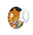 シュナウザー(ジェリーとロンド2)（個別スタンプ：8）