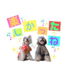 シュナウザー(ジェリーとロンド2)（個別スタンプ：10）