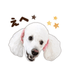 ☆ 表情豊かな Sarahちゃん Part 2 ☆（個別スタンプ：9）