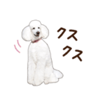 ☆ 表情豊かな Sarahちゃん Part 2 ☆（個別スタンプ：11）