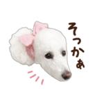 ☆ 表情豊かな Sarahちゃん Part 2 ☆（個別スタンプ：29）