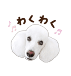 ☆ 表情豊かな Sarahちゃん Part 2 ☆（個別スタンプ：30）