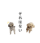 我が家のもふもふ⑤（個別スタンプ：38）