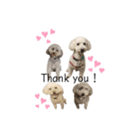 我が家のもふもふ⑤（個別スタンプ：40）