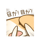 可愛い犬ちゃんの日常（個別スタンプ：40）