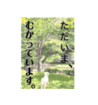ミディアムプードルYUZUちゃん②（個別スタンプ：23）