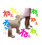 ミディアムプードルYUZUちゃん②（個別スタンプ：28）