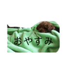 ムギすたんぷ（個別スタンプ：6）