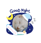 ねこ ネコ 猫 トカゲ（個別スタンプ：4）