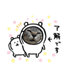 ねこ ネコ 猫 トカゲ（個別スタンプ：19）