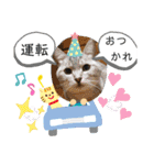 ねこ ネコ 猫 トカゲ（個別スタンプ：25）