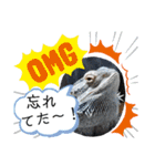 ねこ ネコ 猫 トカゲ（個別スタンプ：29）