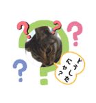 ねこ ネコ 猫 トカゲ（個別スタンプ：30）