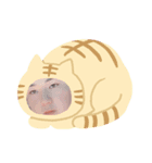 てーさんすたんぷ（個別スタンプ：1）