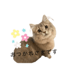 耳毛ねこのリィちゃん（個別スタンプ：4）