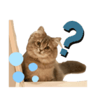 耳毛ねこのリィちゃん（個別スタンプ：23）