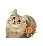 耳毛ねこのリィちゃん（個別スタンプ：36）