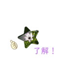 うちの奴ら（個別スタンプ：3）