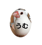 ピコ返事（個別スタンプ：2）