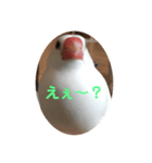 ピコ返事（個別スタンプ：6）