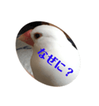 ピコ返事（個別スタンプ：8）