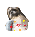 癒しのタッキー♥️（個別スタンプ：3）