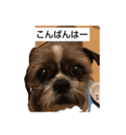癒しのタッキー♥️（個別スタンプ：5）