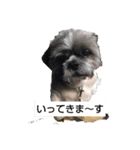 癒しのタッキー♥️（個別スタンプ：7）