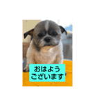 癒しのタッキー♥️（個別スタンプ：8）