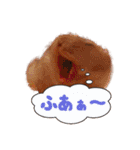 のだハム01（個別スタンプ：4）