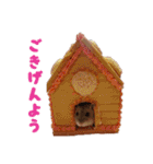 のだハム01（個別スタンプ：7）